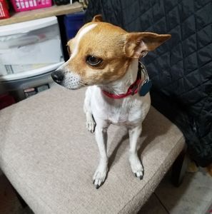 Meet your Posher, Mary